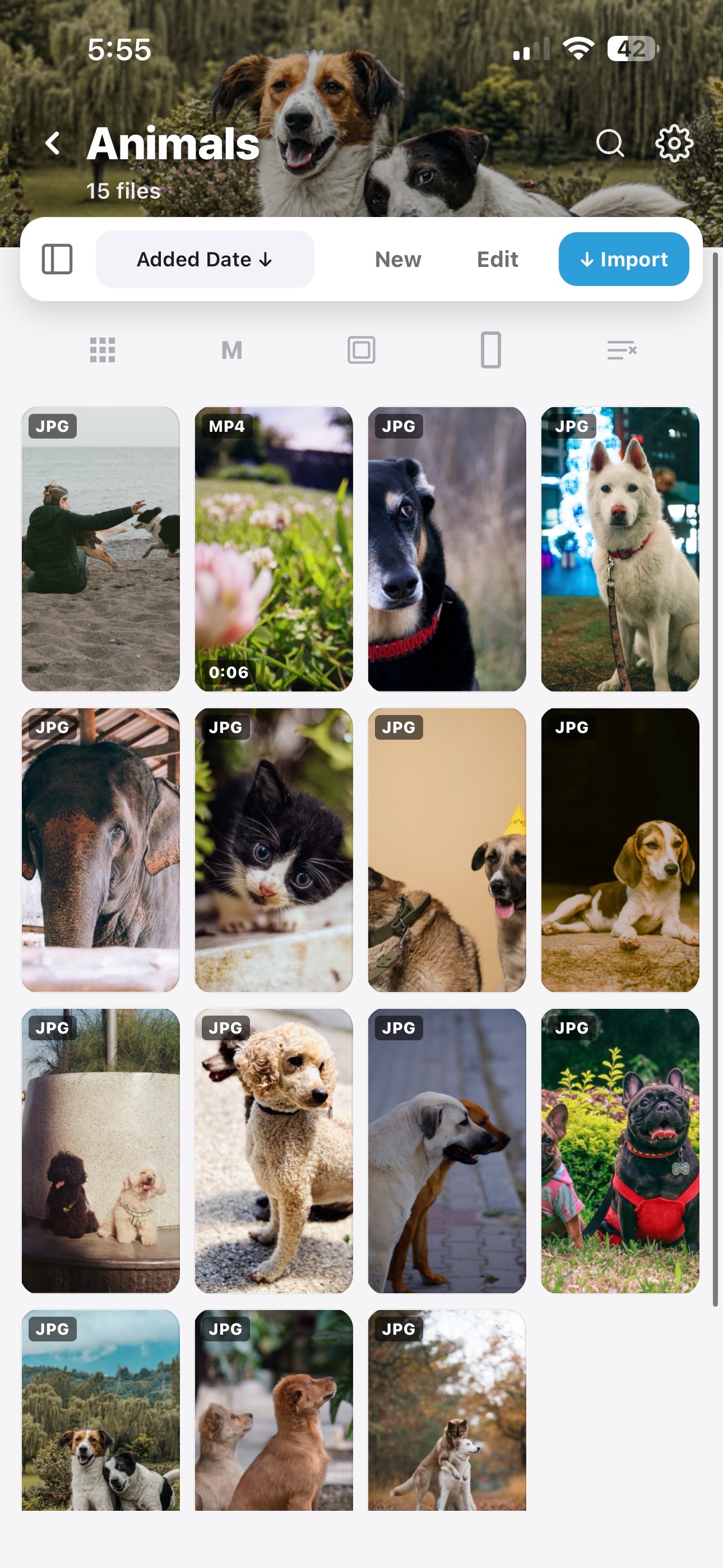 A folder with a header photo