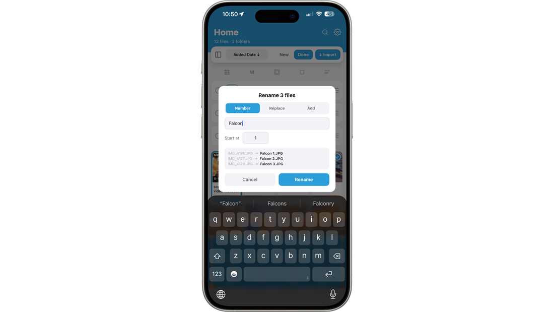 The Bulk Rename screen in Falcon