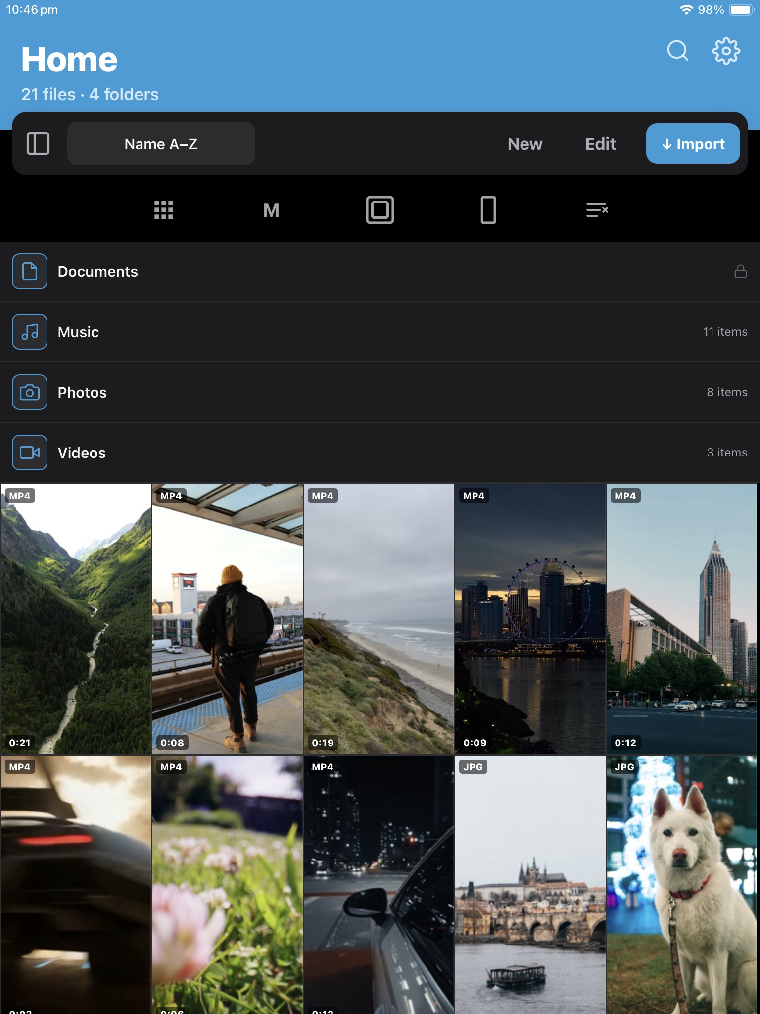Falcon File Manager on iPad