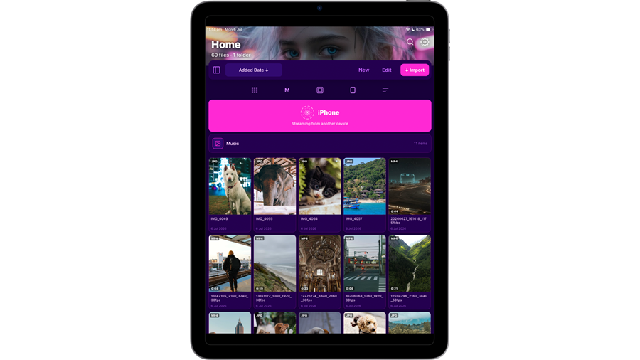 A Falcon library streaming on iPad